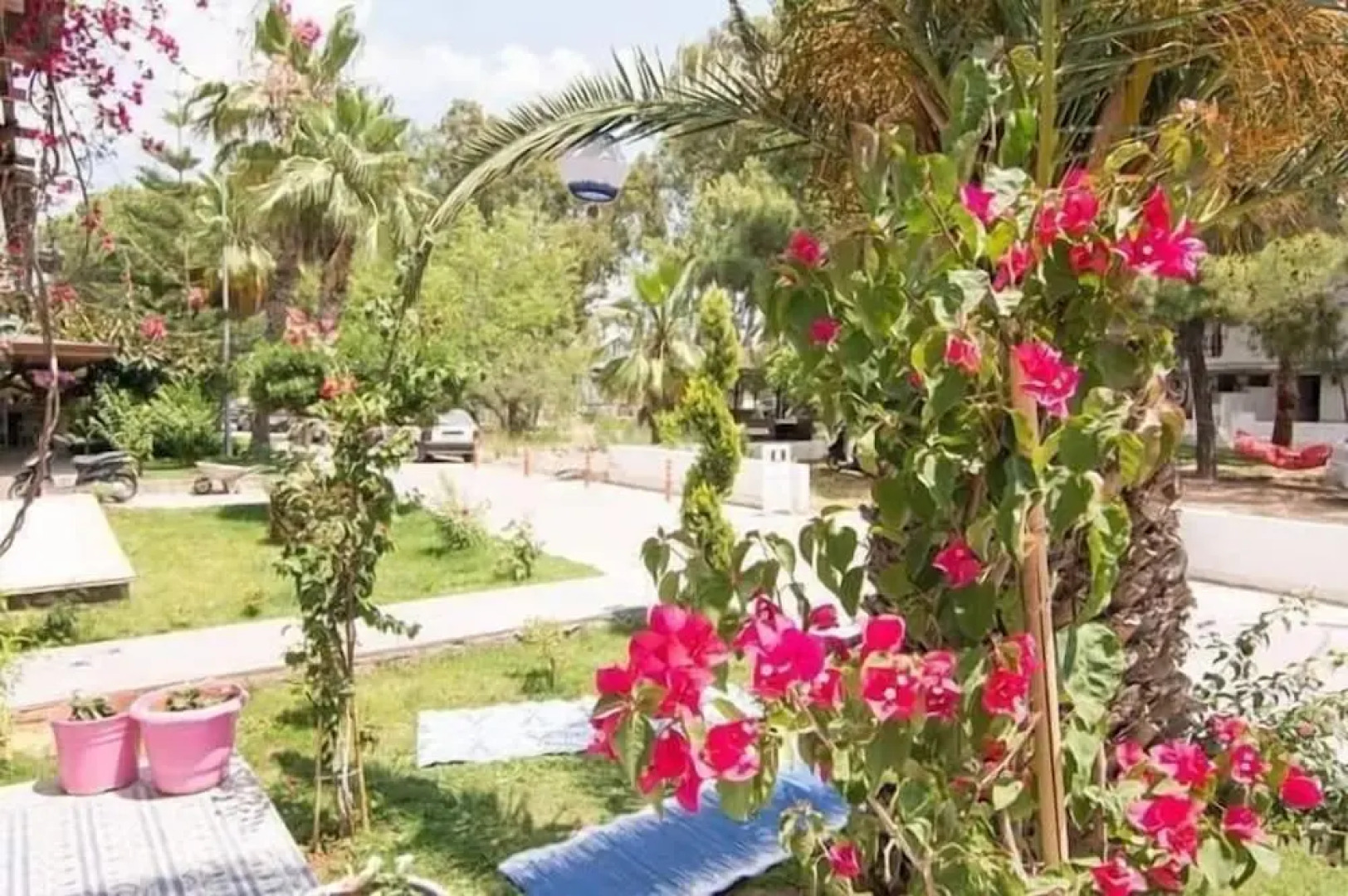 Kiraz Cicegi Butik Akyaka