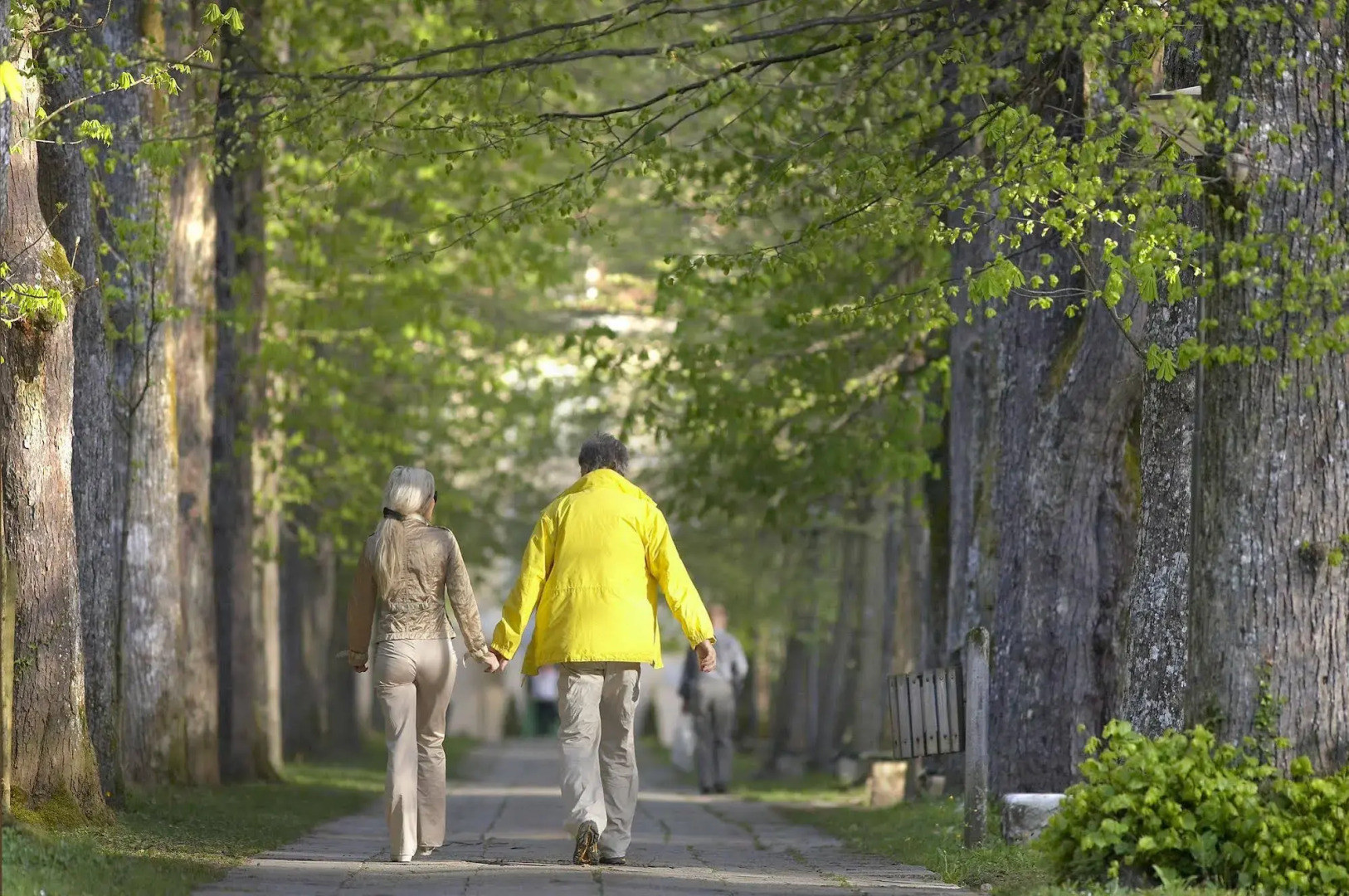 Depandance Vila Higiea - Terme Dobrna