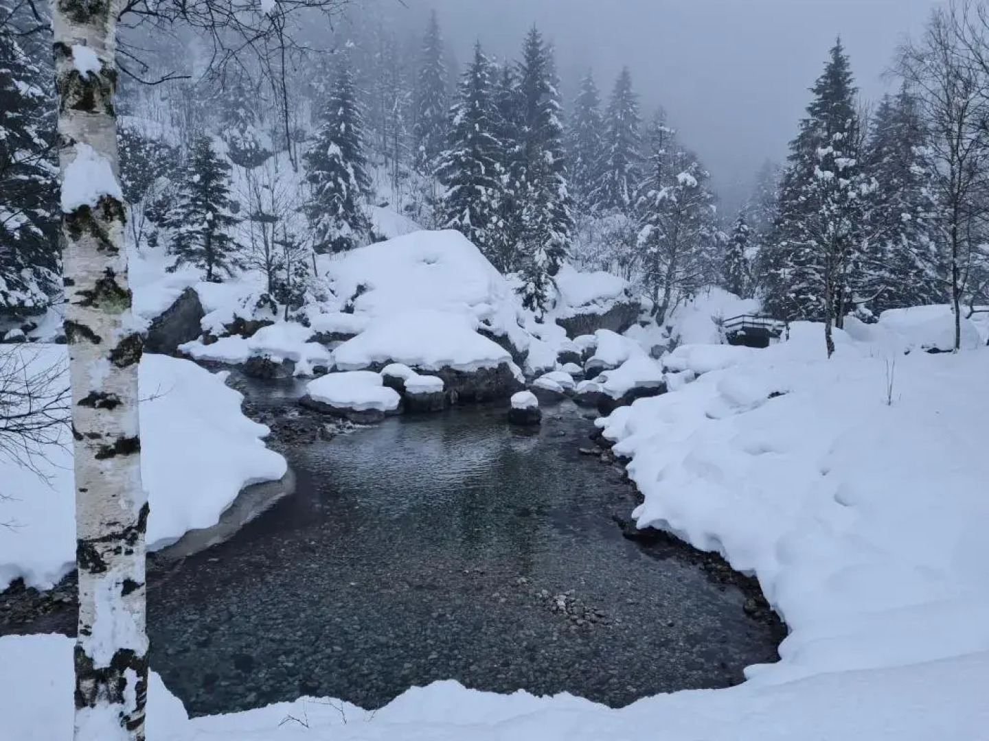 Hotel Ristorante Bucaneve