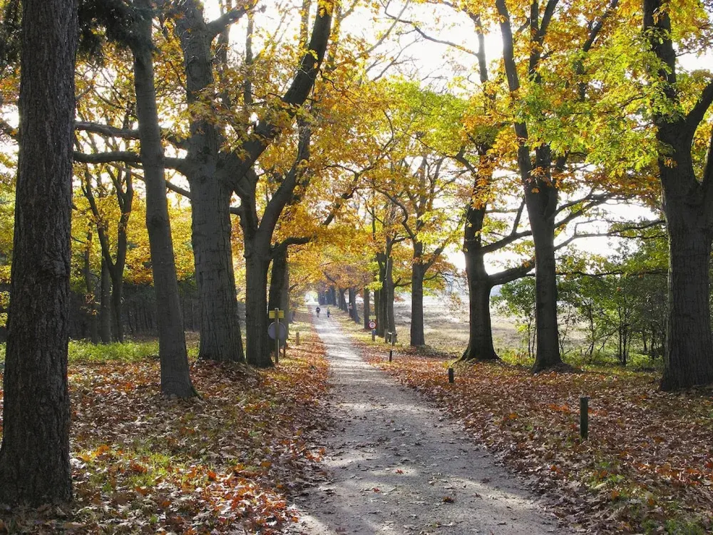 Vakantiepark De Lindenberg
