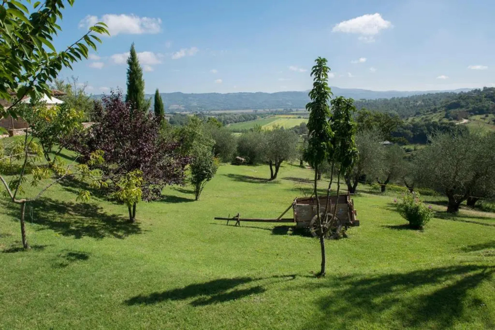 Country House with swimming pool in Toscana/Umbria