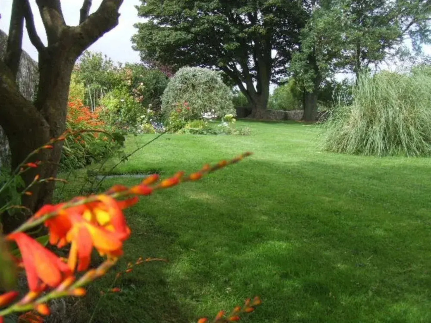 The Old School House