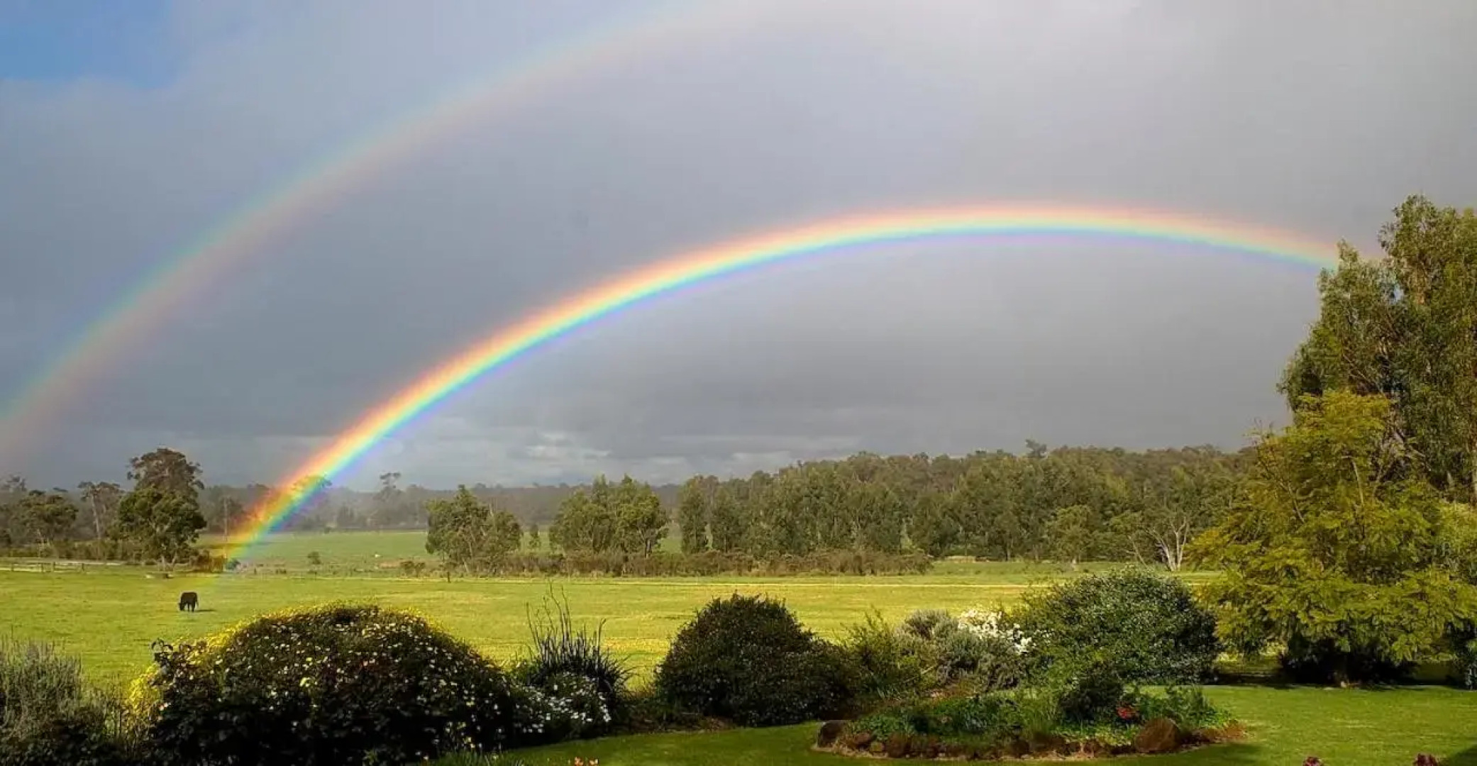 Silversprings cottages