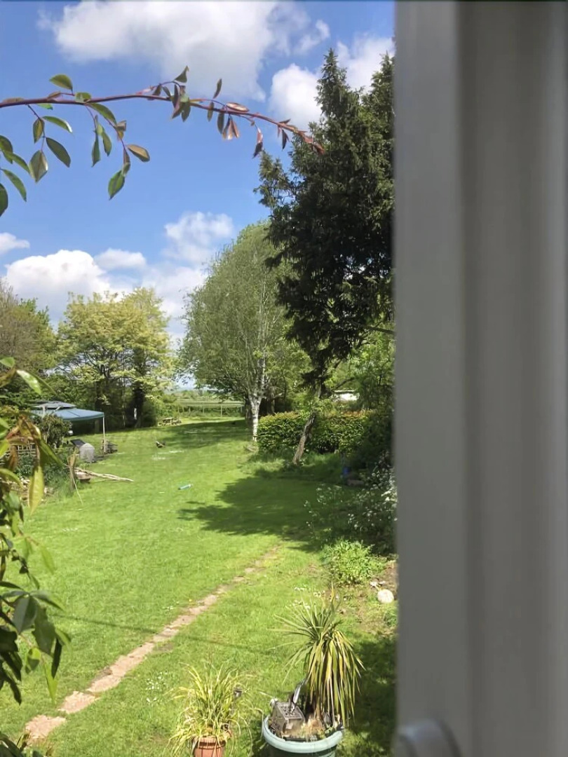 Forest view Bed and Breakfast