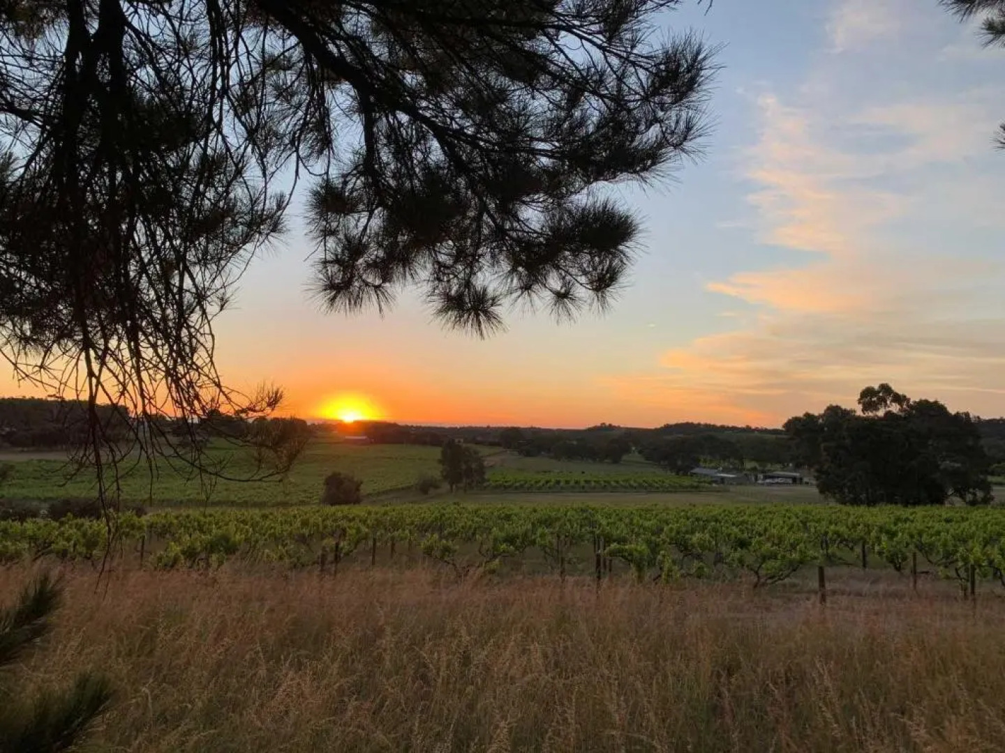 Bella Cosa Bed & Breakfast