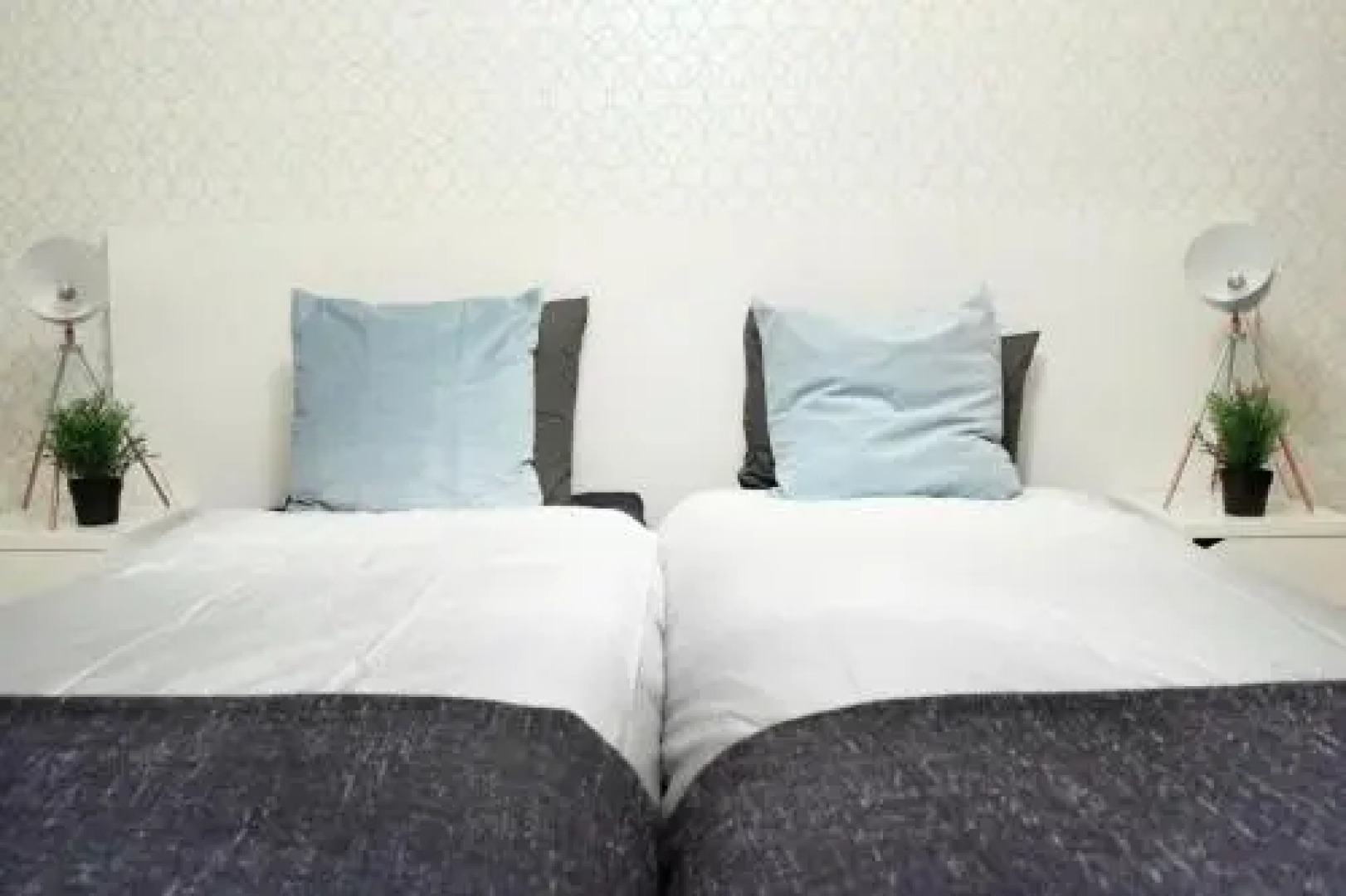 Caldas do Gerês Apartment