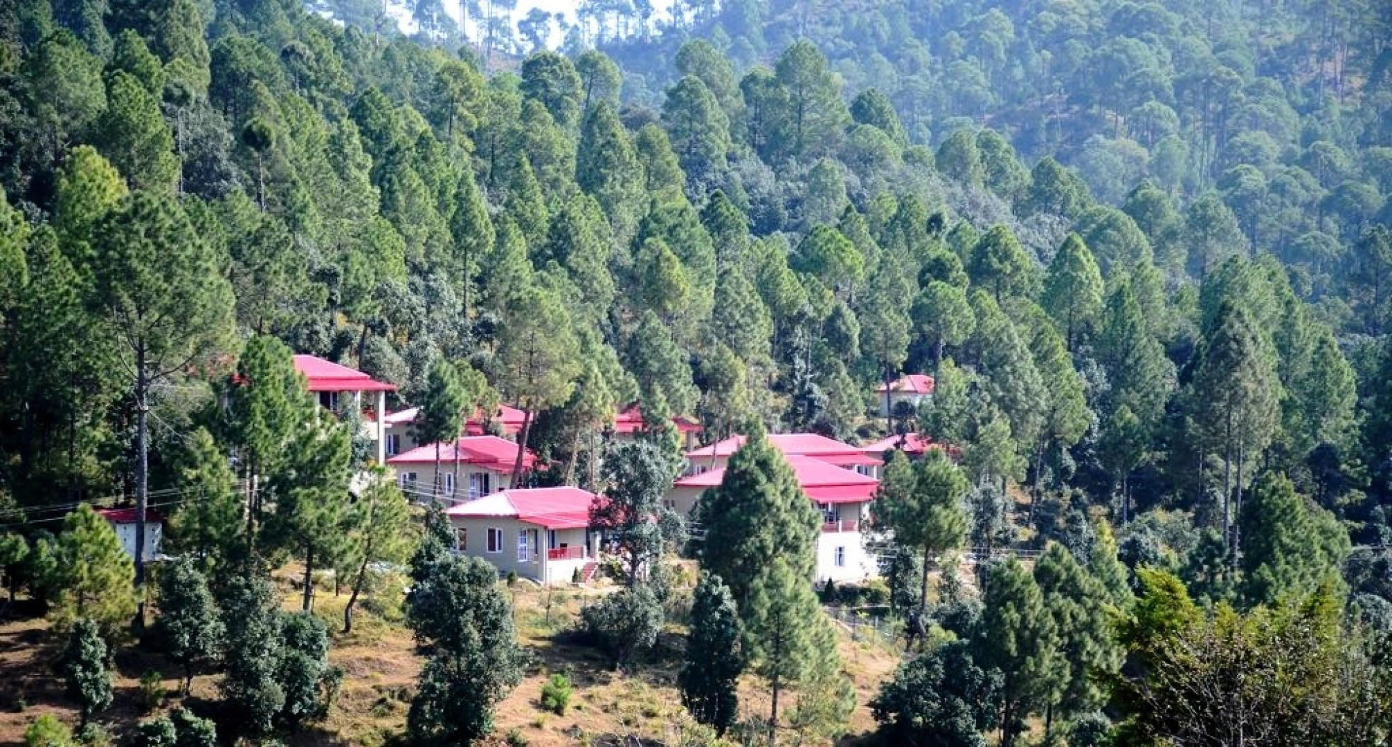 Majkhali woods, Ranikhet, by Himalayan Eco Lodges