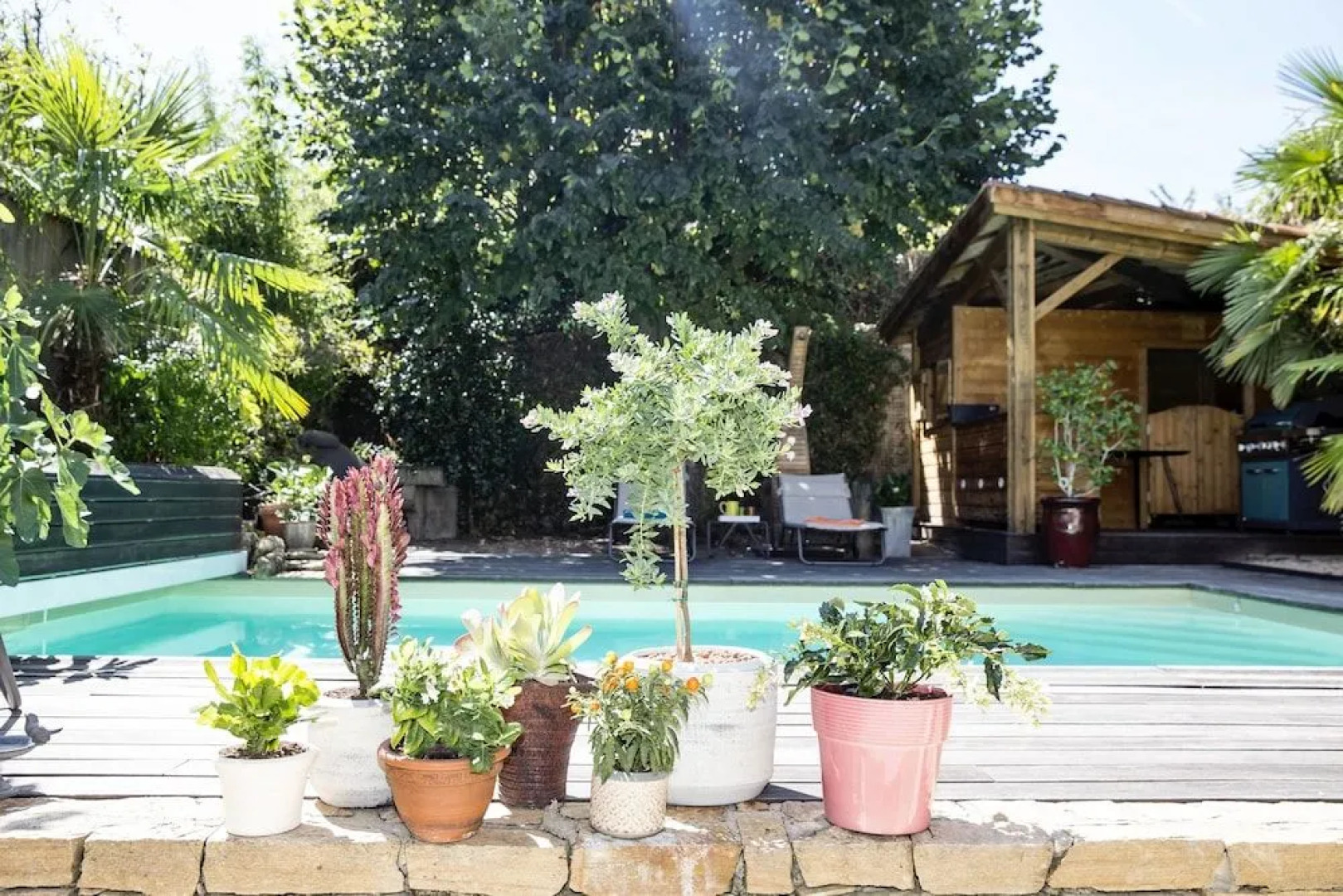 Une Odeur de Tilleul