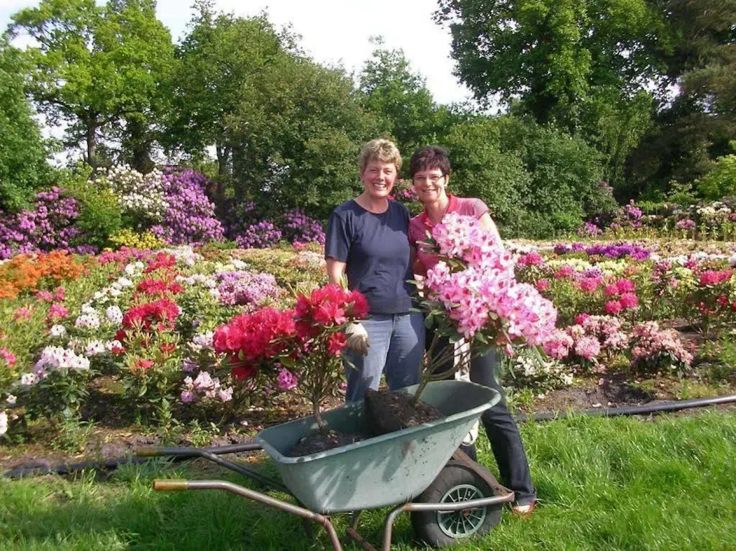 Hotel Ammerländer Hof