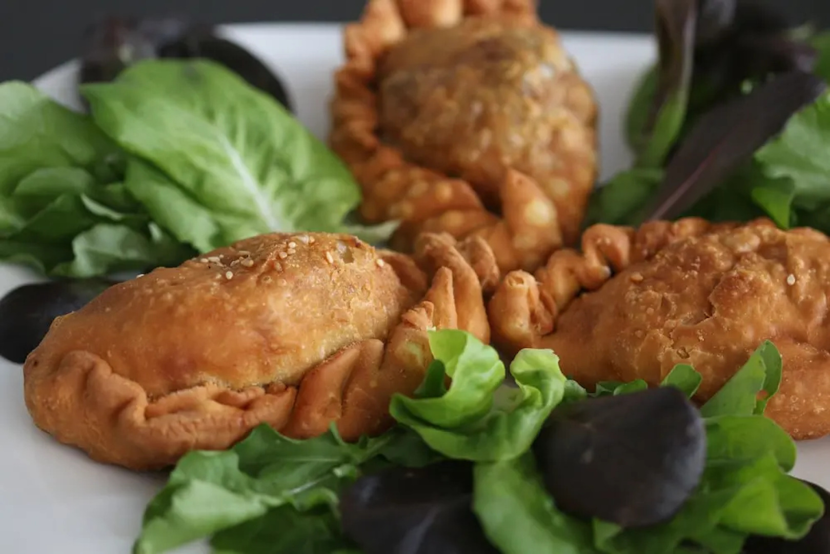 Luxury Sky Penthouses 3-6BR Condo-Hotel at Oceano Jaco