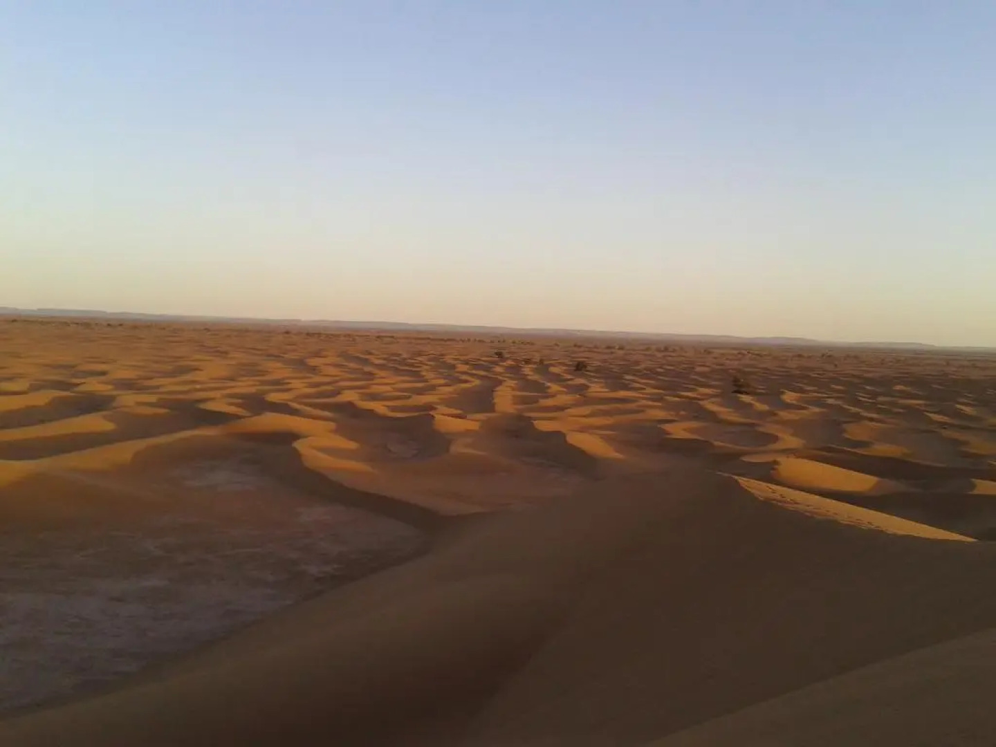 Bivouac Desert Sahara