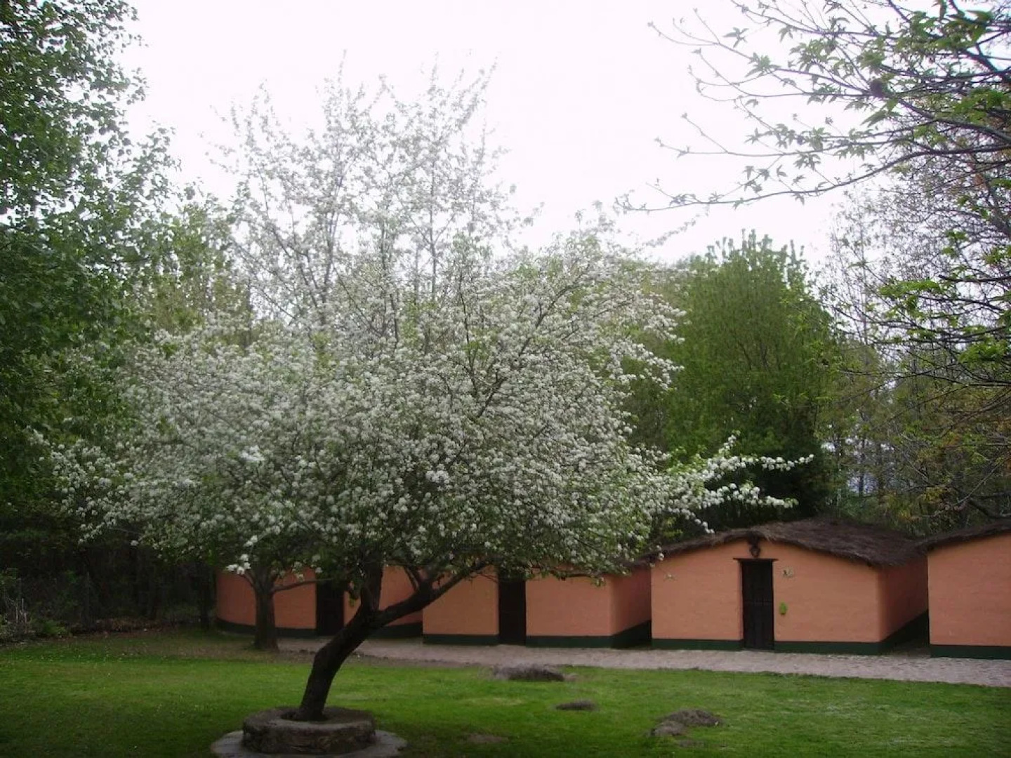 Albergue Turistico Valle del Ambroz