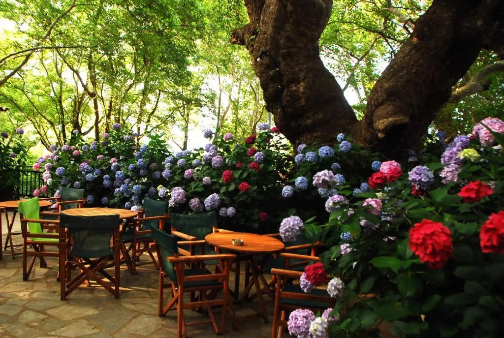 Tasoula Parselia Studios