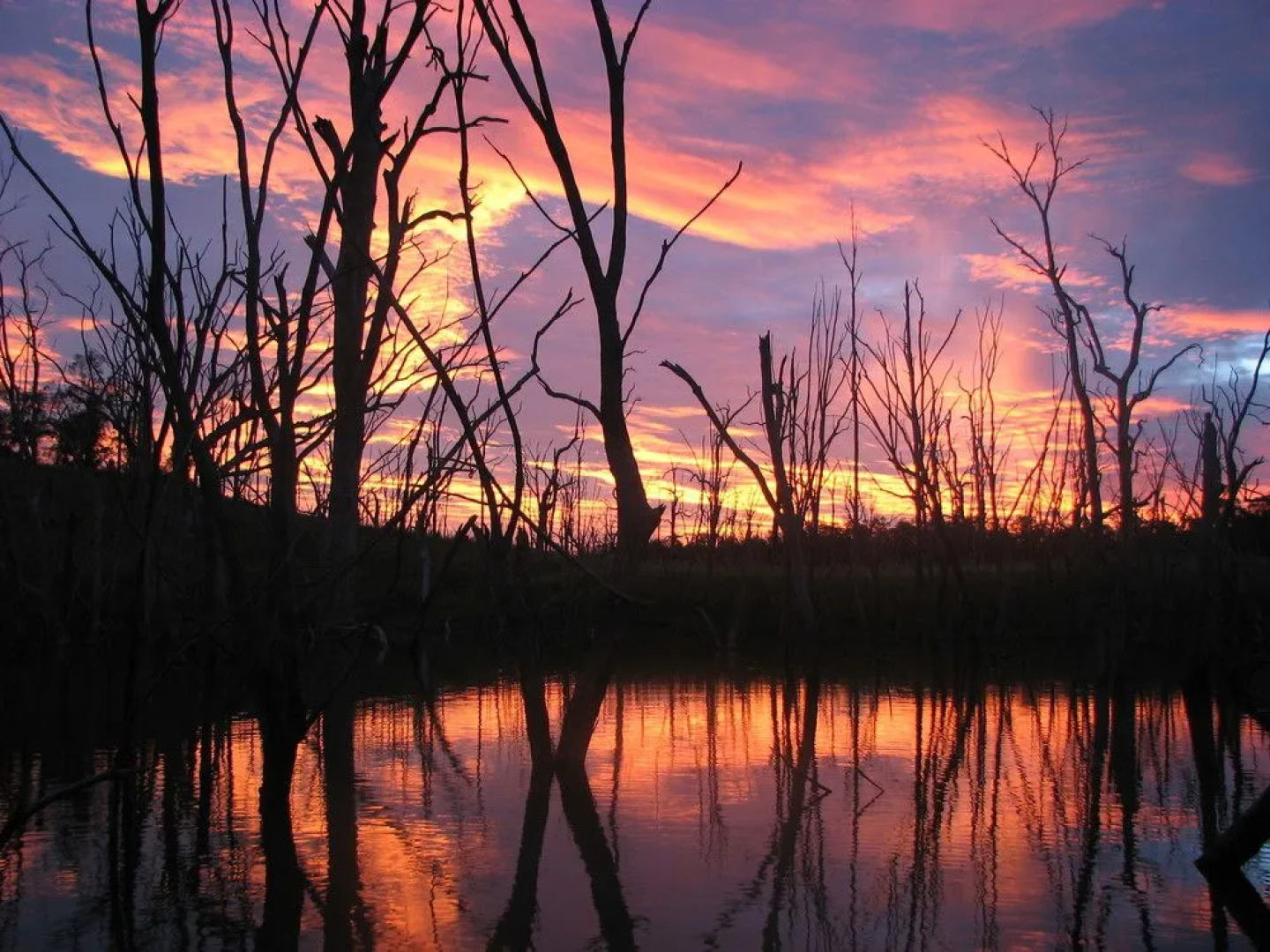 Lake Monduran Holiday Park
