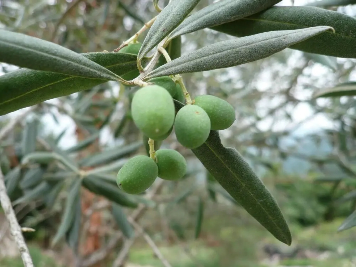 Very Spacious Apartment With Lots of Grandeur and Great Views