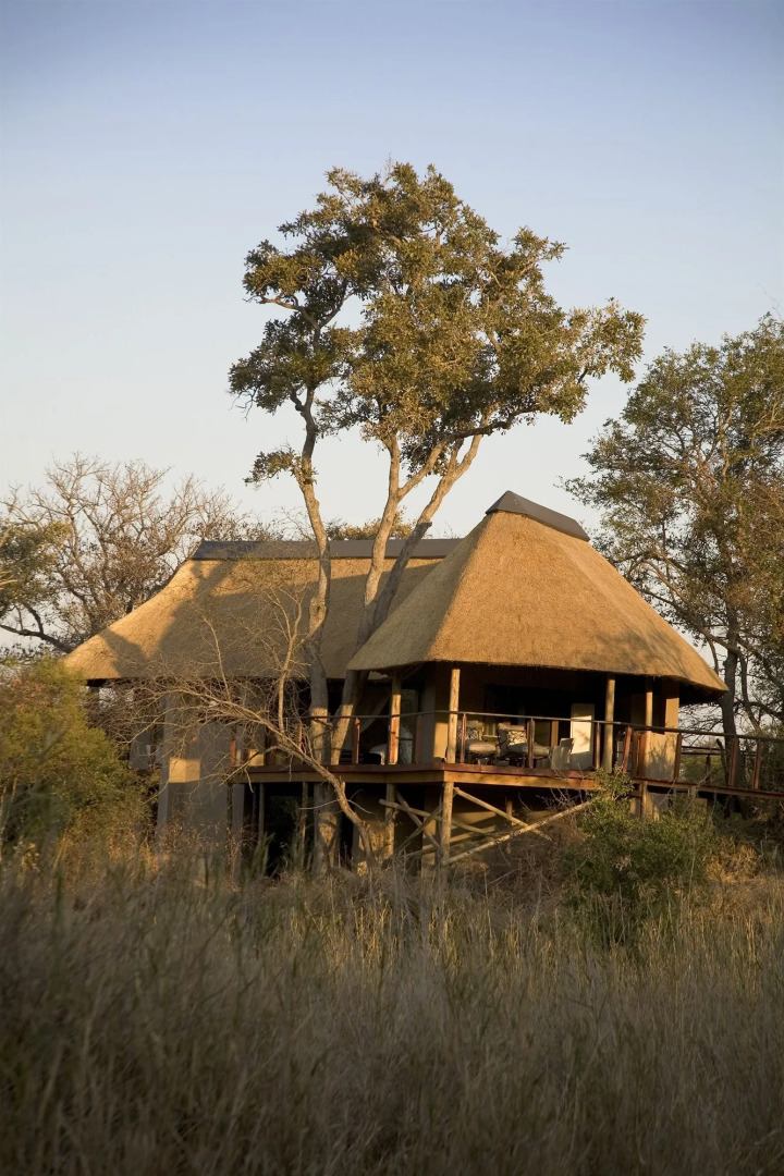 The River Lodge At Thornybush