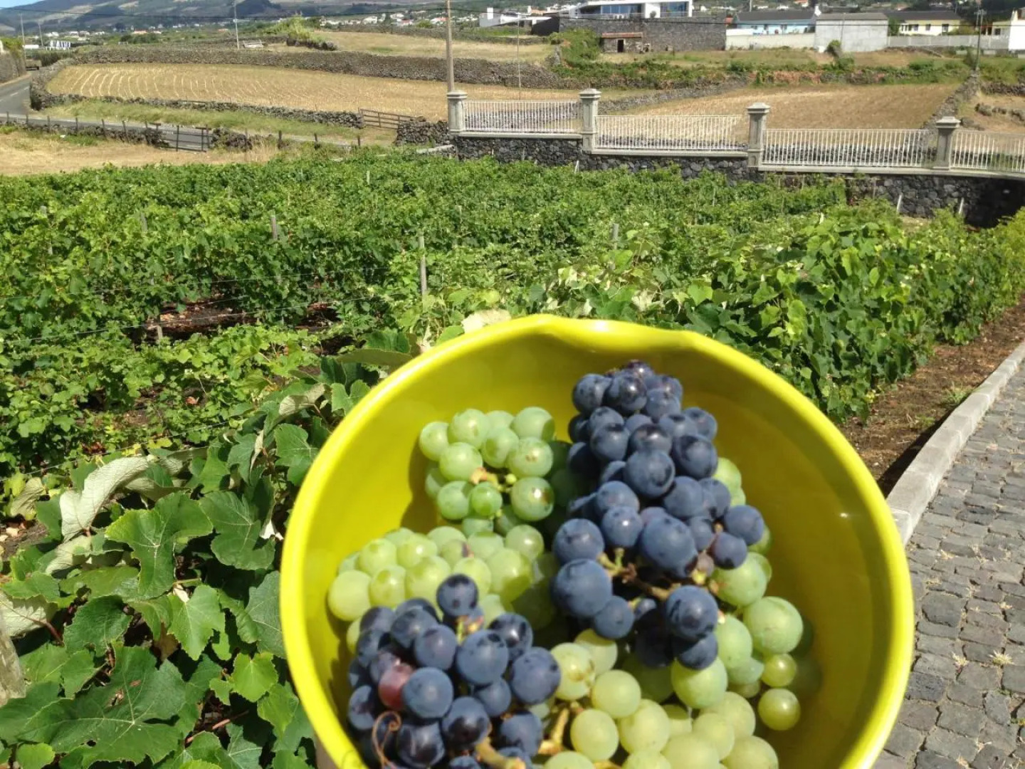 Vivenda Da Saudade B&B