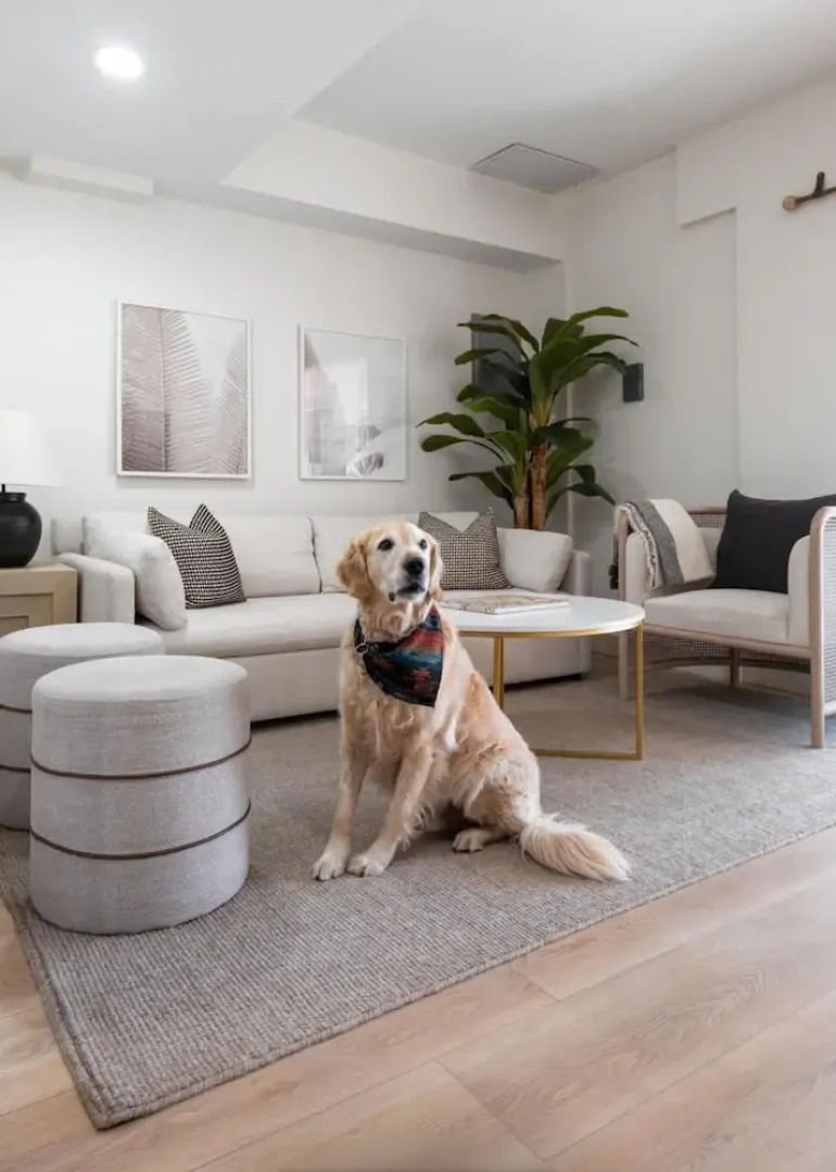 The South Bay Retreat