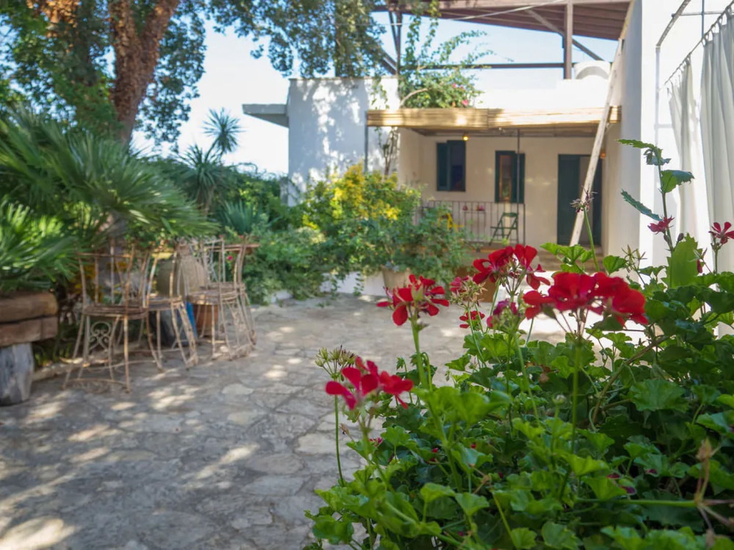 Kalinifta - Io parto Io arrivo