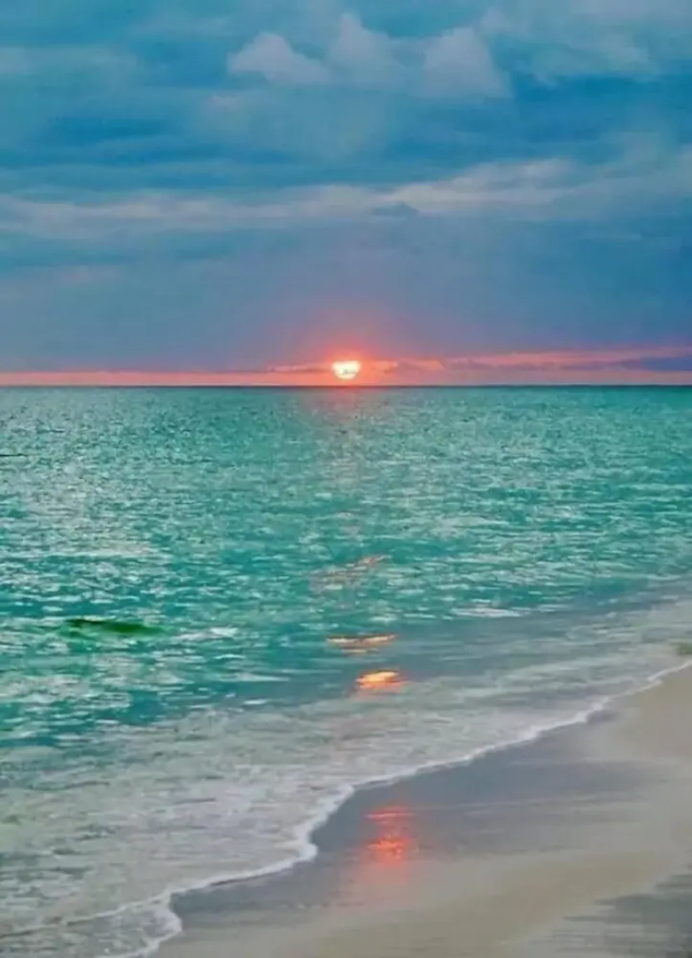 Lovely Hallandale Beach Studio