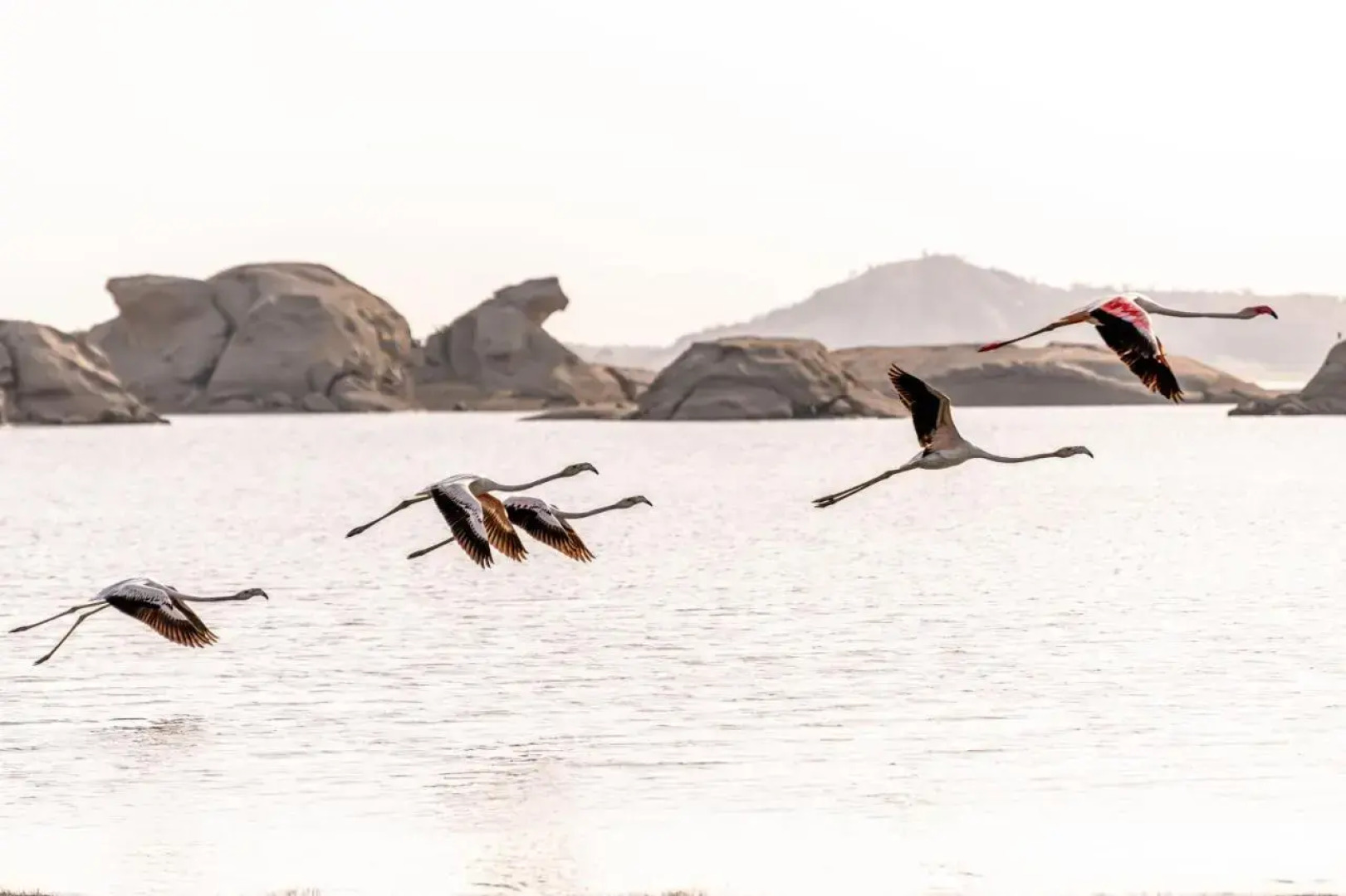 Lords Eco Inn Jawai-Sumerpur