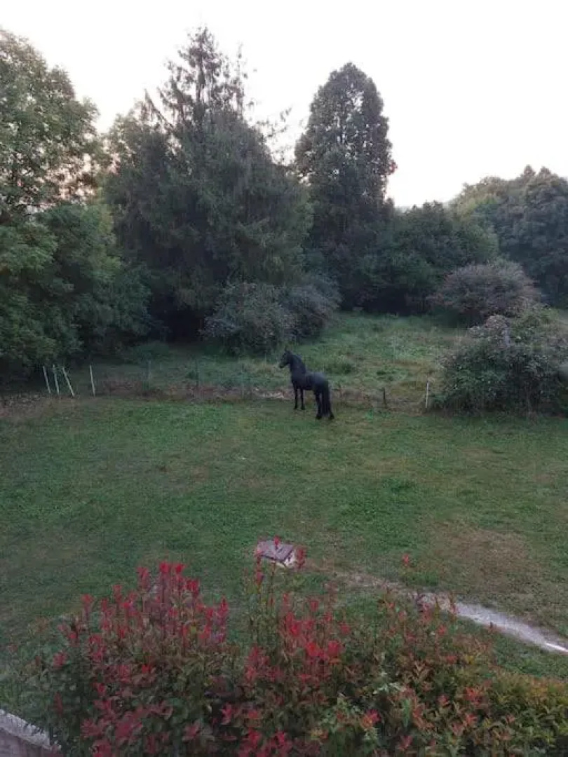 Incantevole appartamento con piscina e vista monti