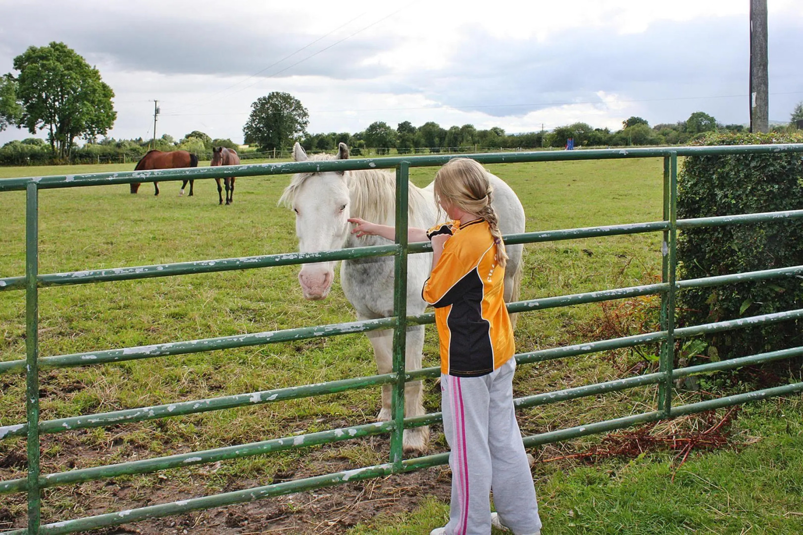 Cottage in TerryGlass with paid sauna