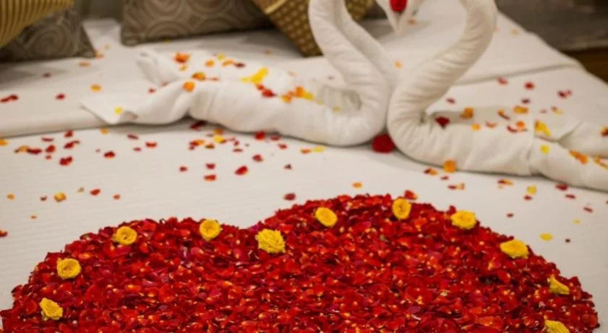 Sri Janakiram Hotels