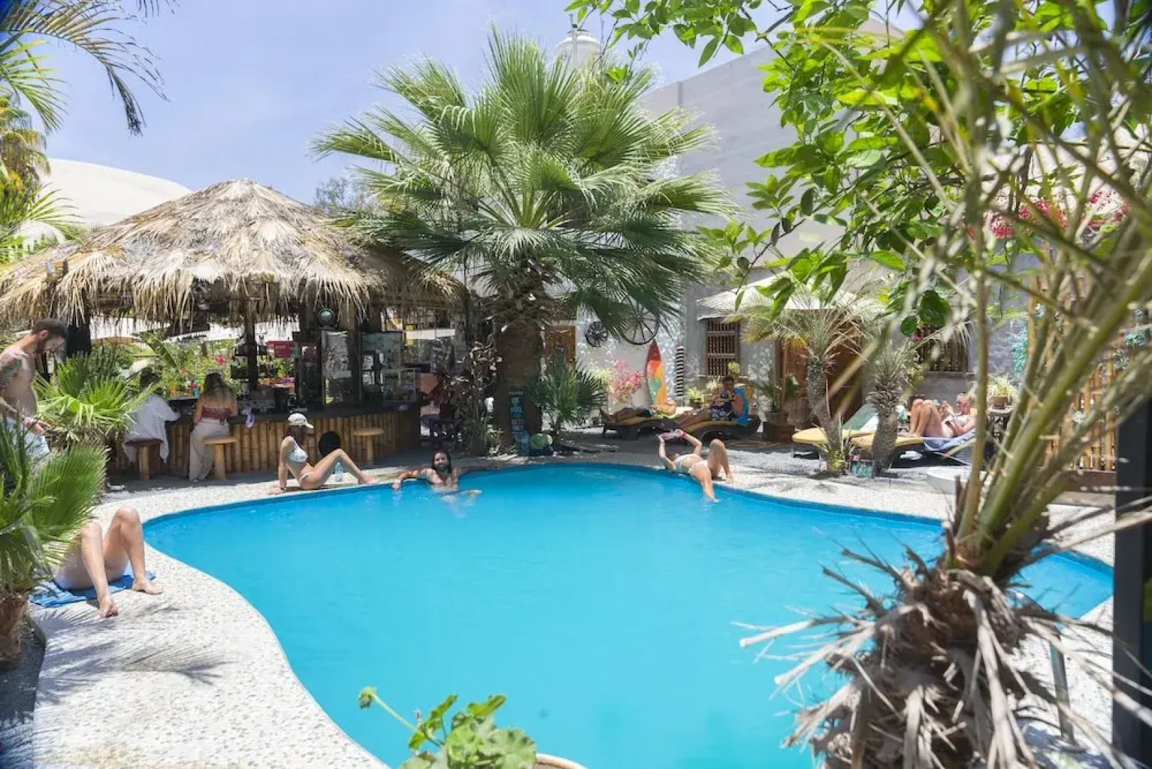 Bananas Adventure Hostel