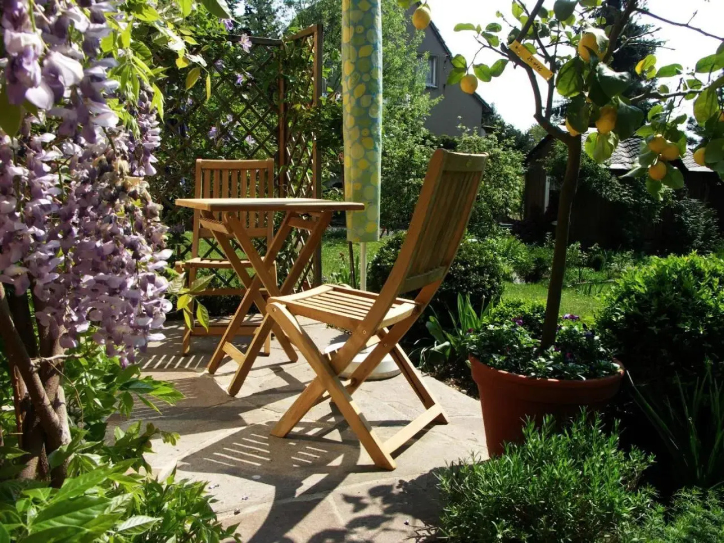 Ferienwohnung am Dresdner Elbhang