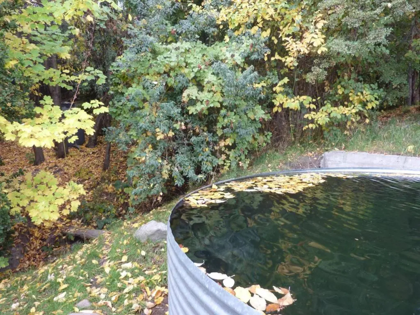 Cabañas Las Lavandas