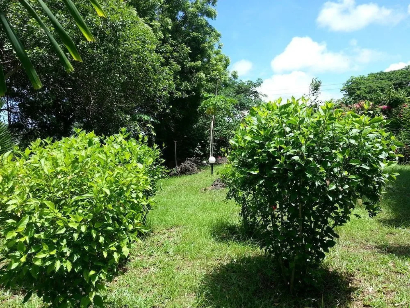 Holiday Homes Elicriso Malindi