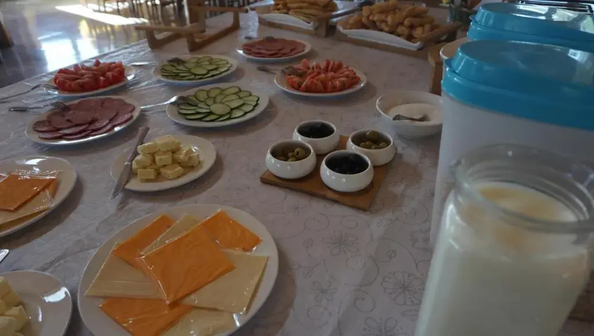 My Mongolia Eco Ger Camp