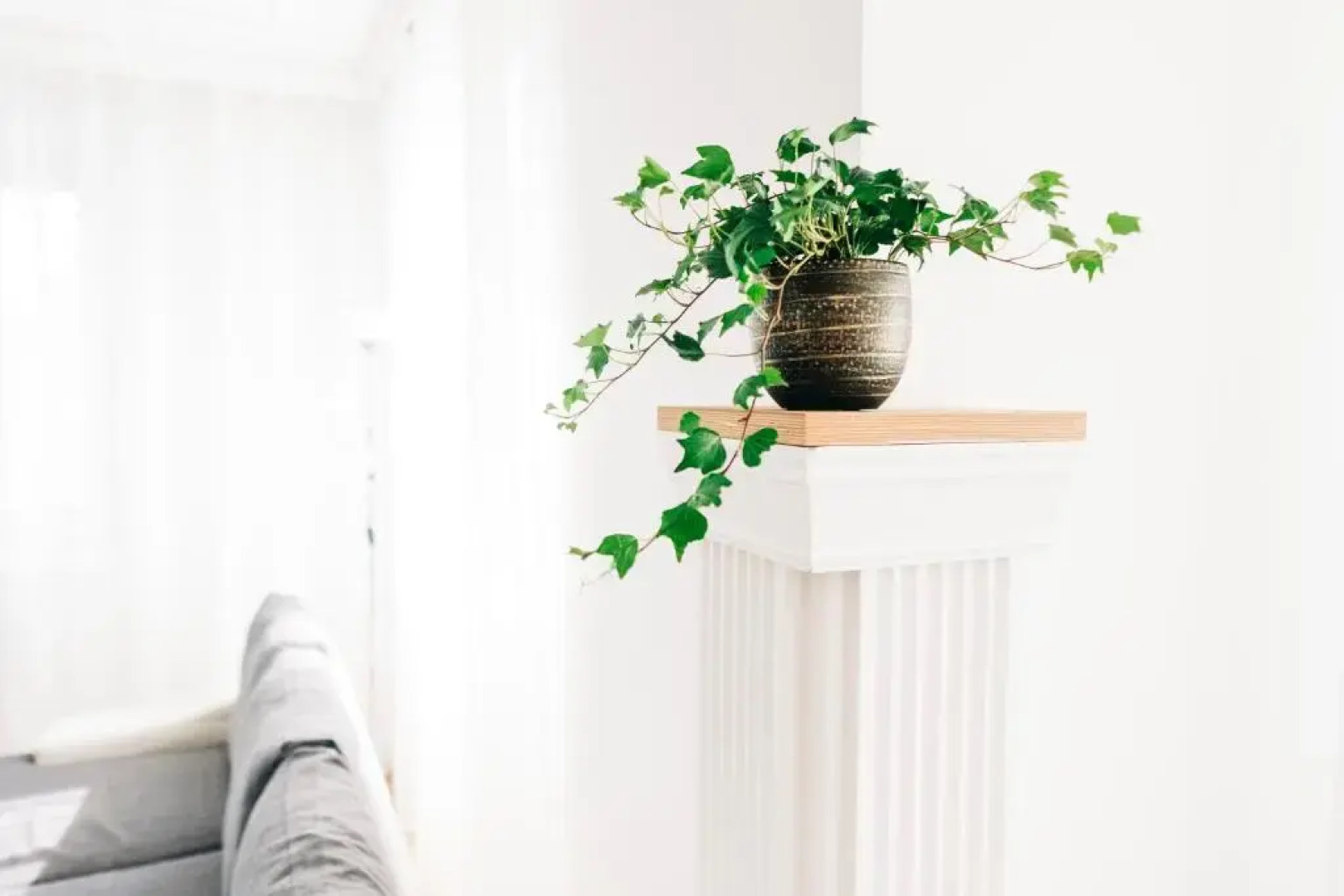 Castle View Village House