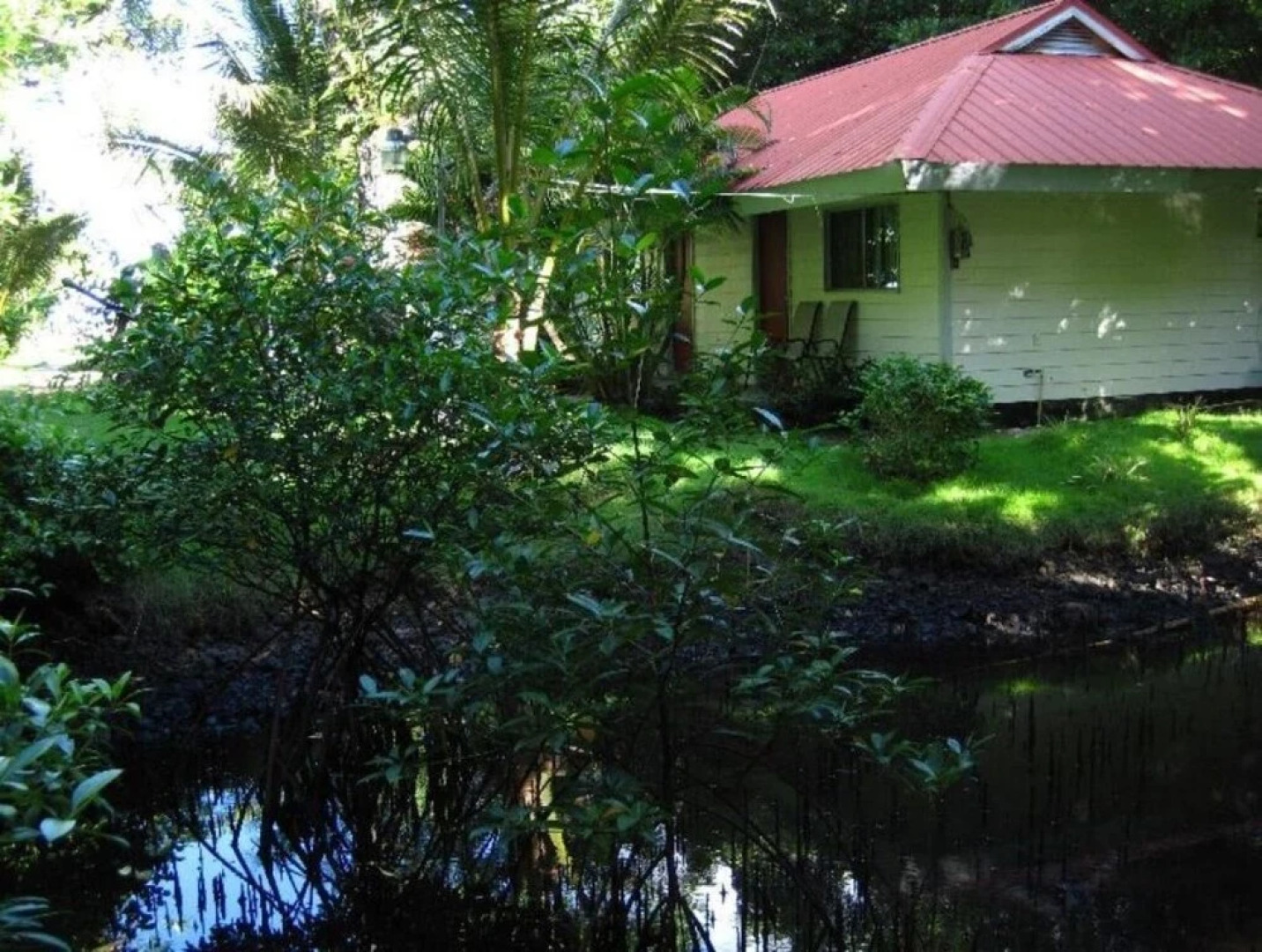 Pacific Treelodge Resort