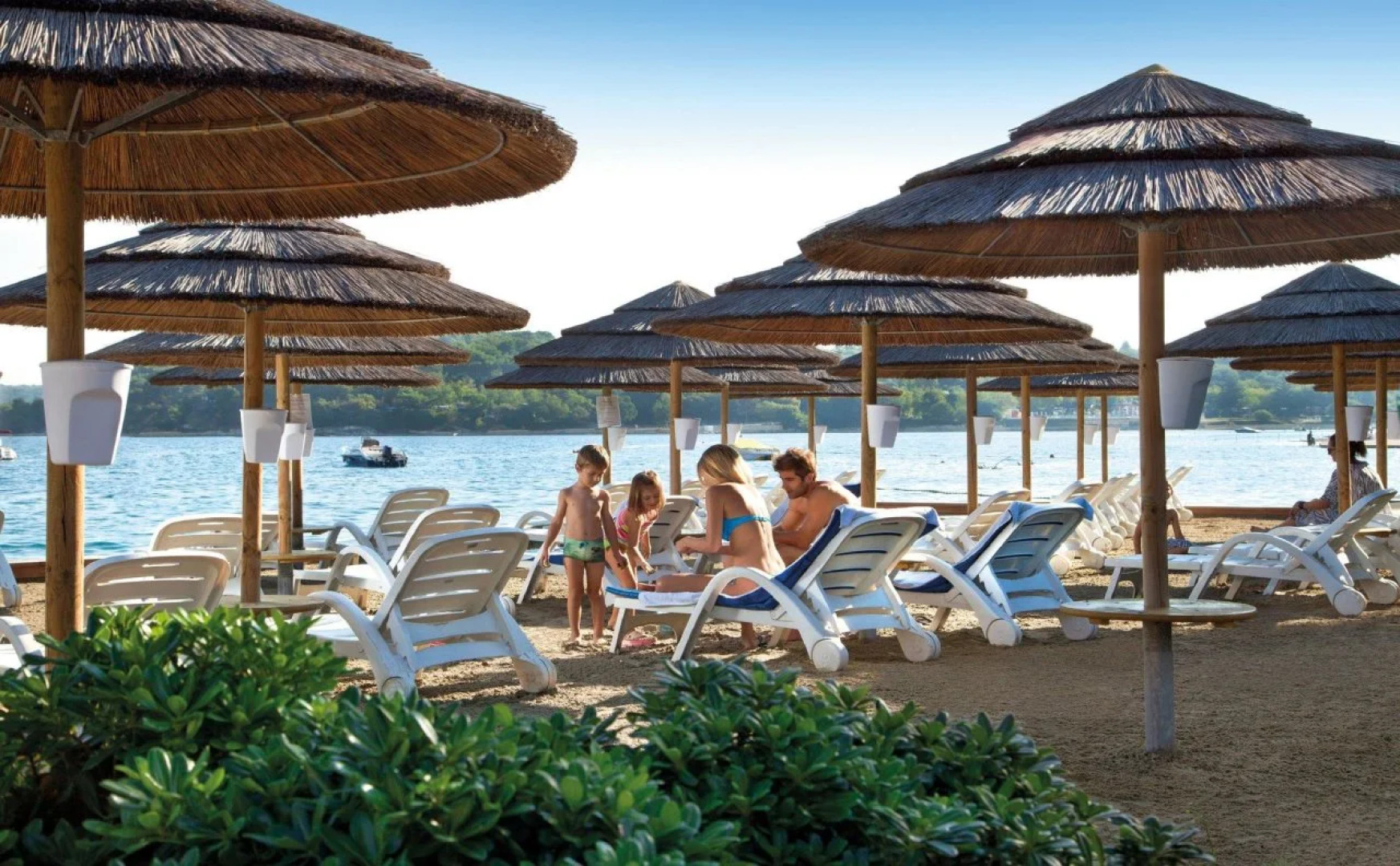 Отель Valamar Club Tamaris Hotel