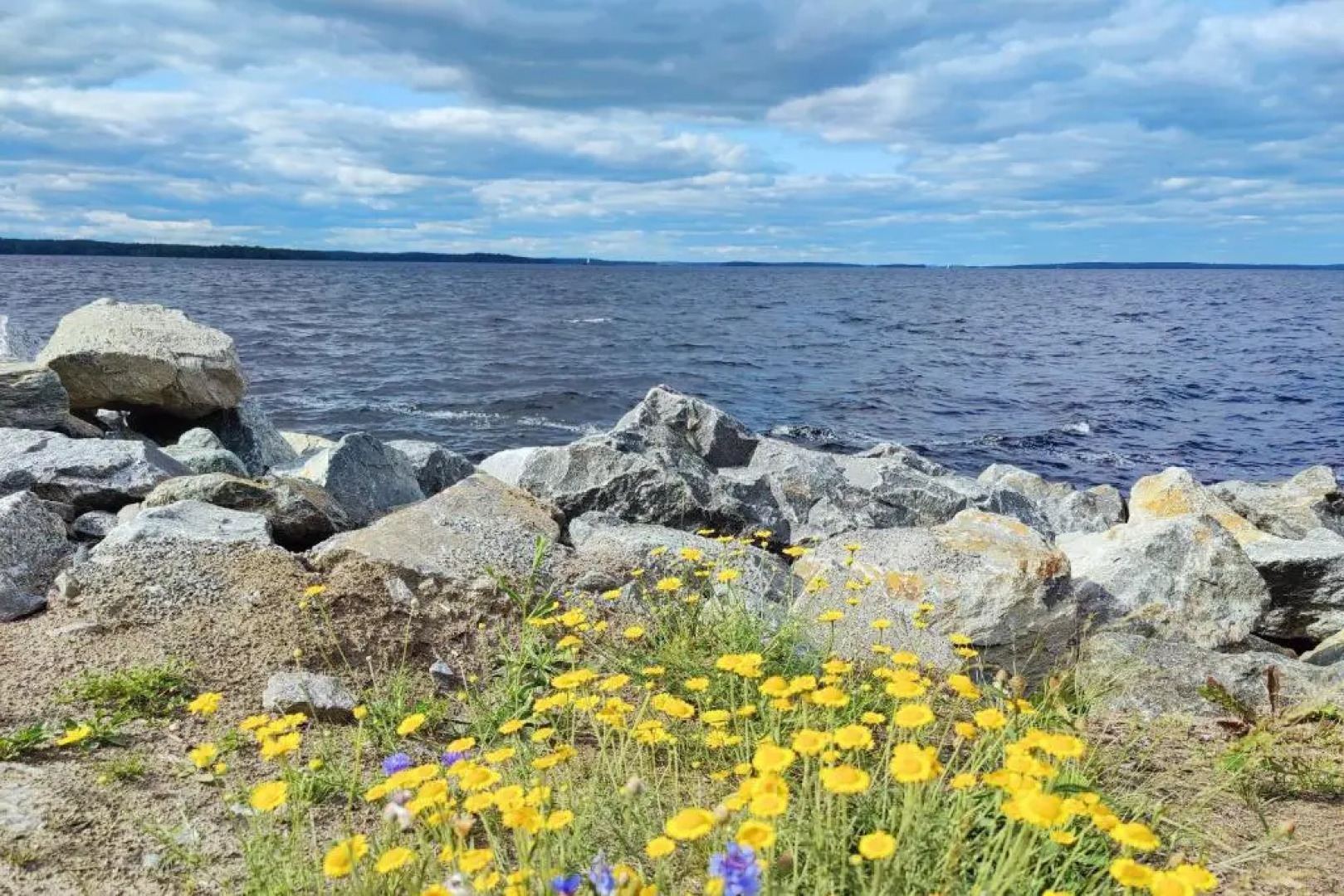 The Cutest Studio in Central Tampere