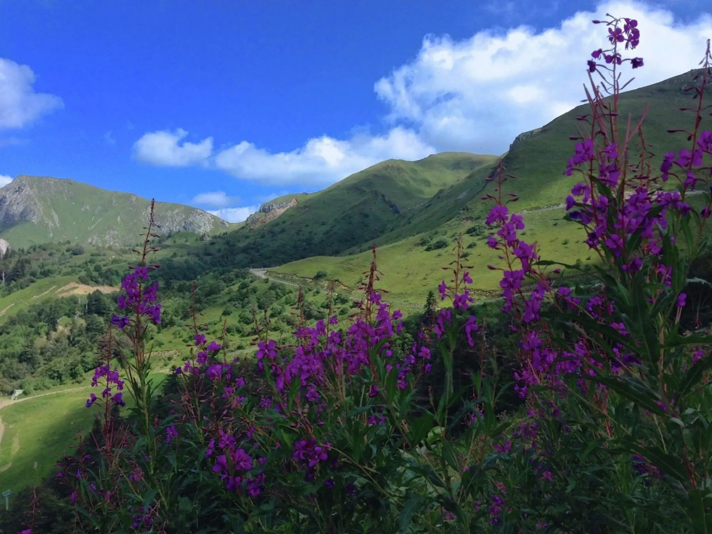 Exquisite Mansion in Cantal with Jacuzzi, Sauna and Pool