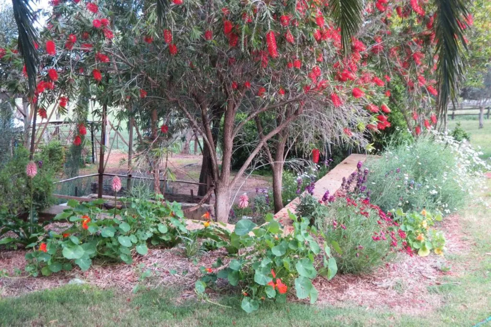 Bentwood Olive Grove Accommodation