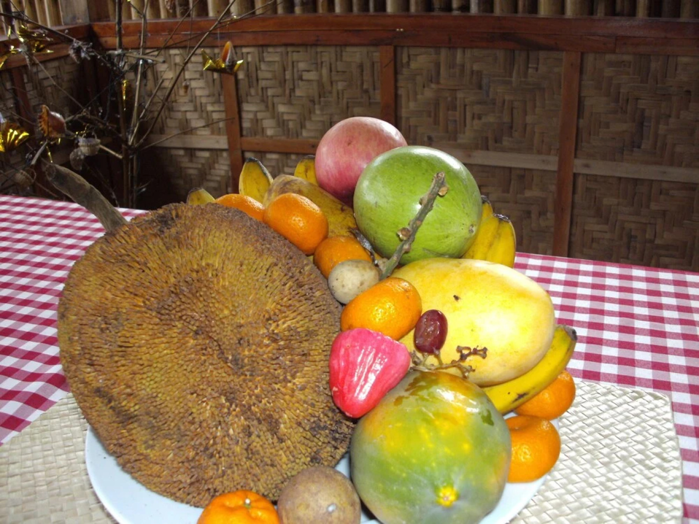 Rene's Diverslounge Resort