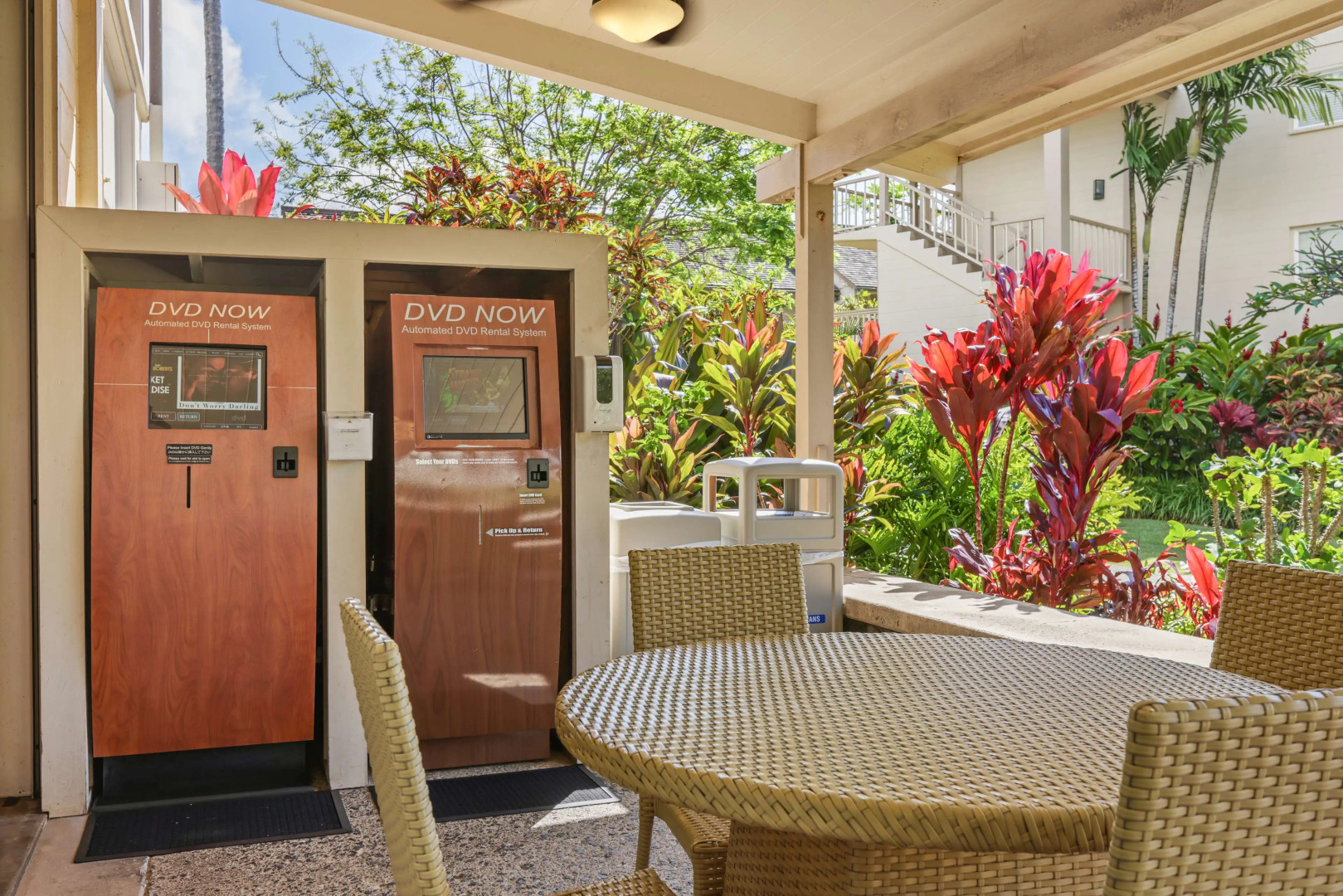 Aston Islander on the Beach