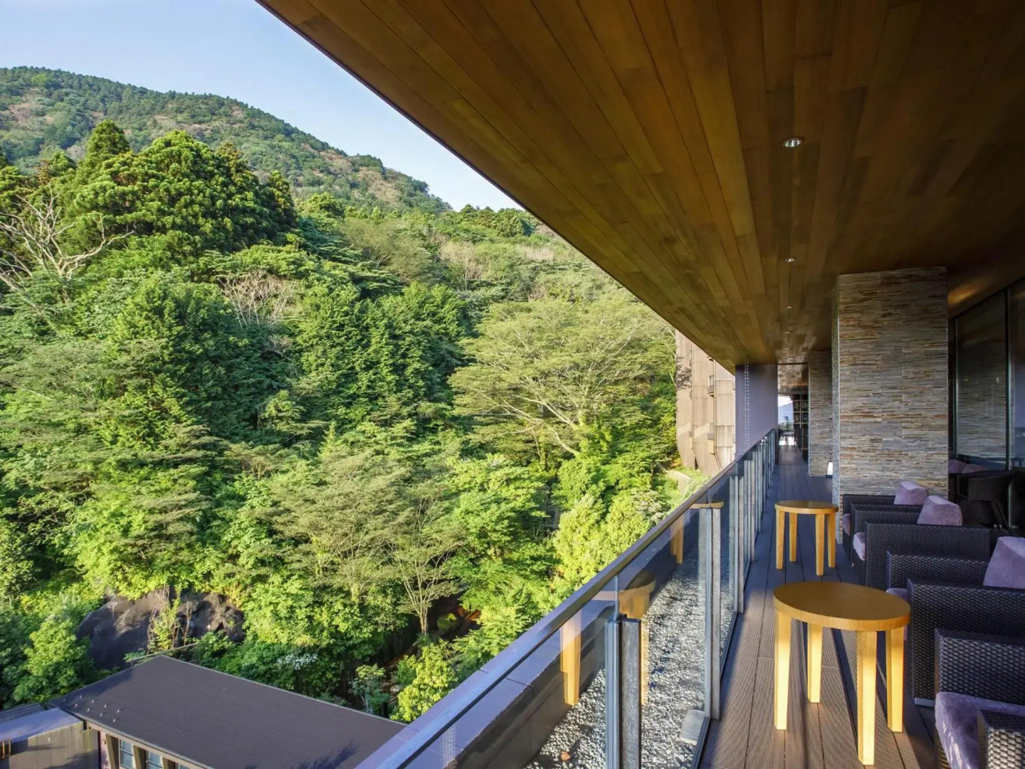 Отель Hakone Kowakien Ten-Yu