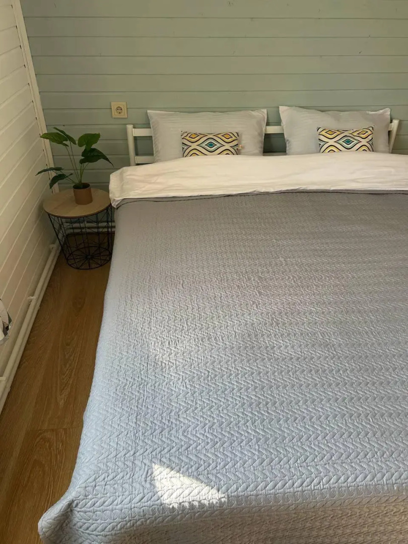 Экко-дом у леса