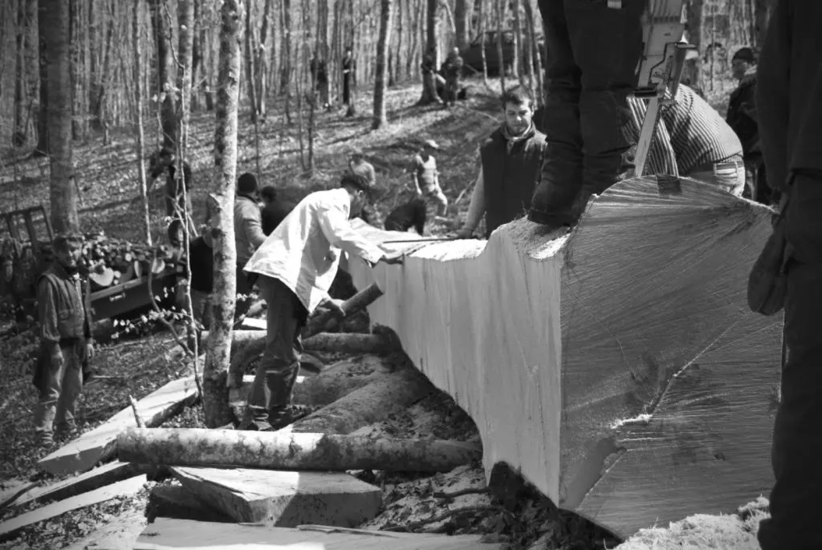 Tana Libera Tutti 3 Nature, Yourself, Love