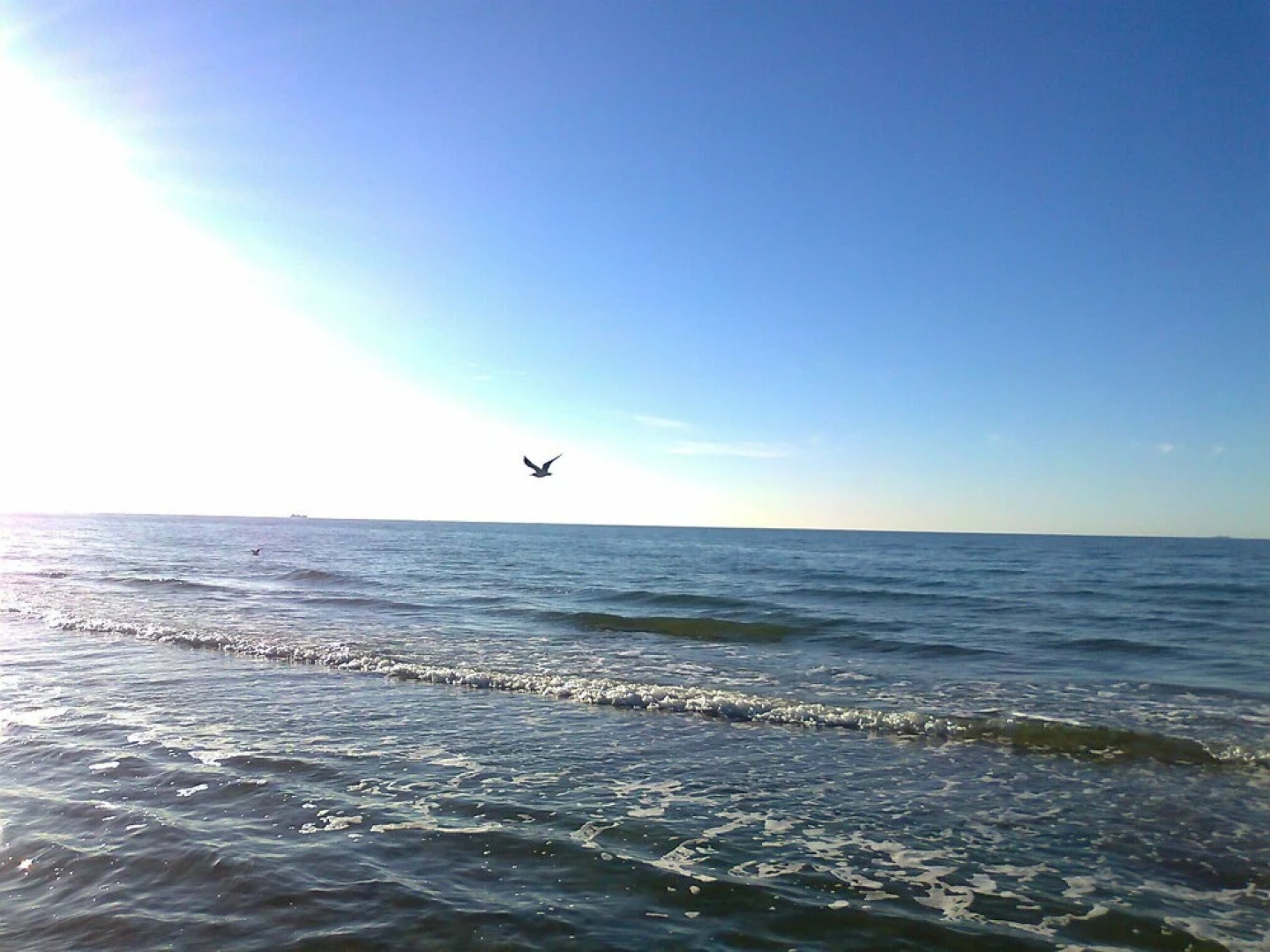 Lovely Bungalow in Hohenkirchen Germany by the Sea