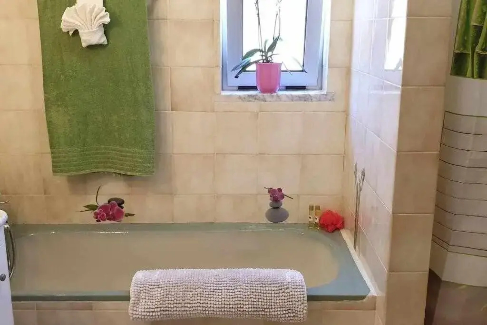 Ria Formosa Pineview