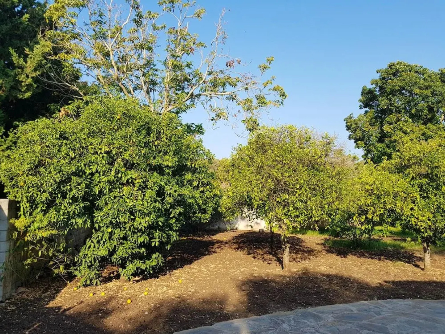 Villa With 6 Bedrooms in Vejer de la Frontera, With Private Pool, Enclosed Garden and Wifi Near the Beach