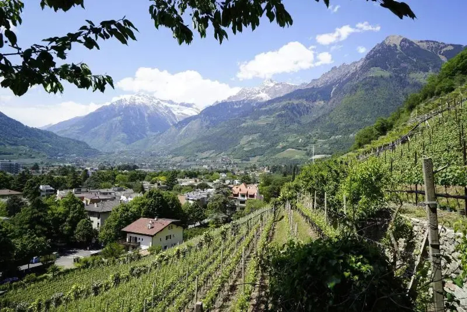 Napura Art & Nature Residence