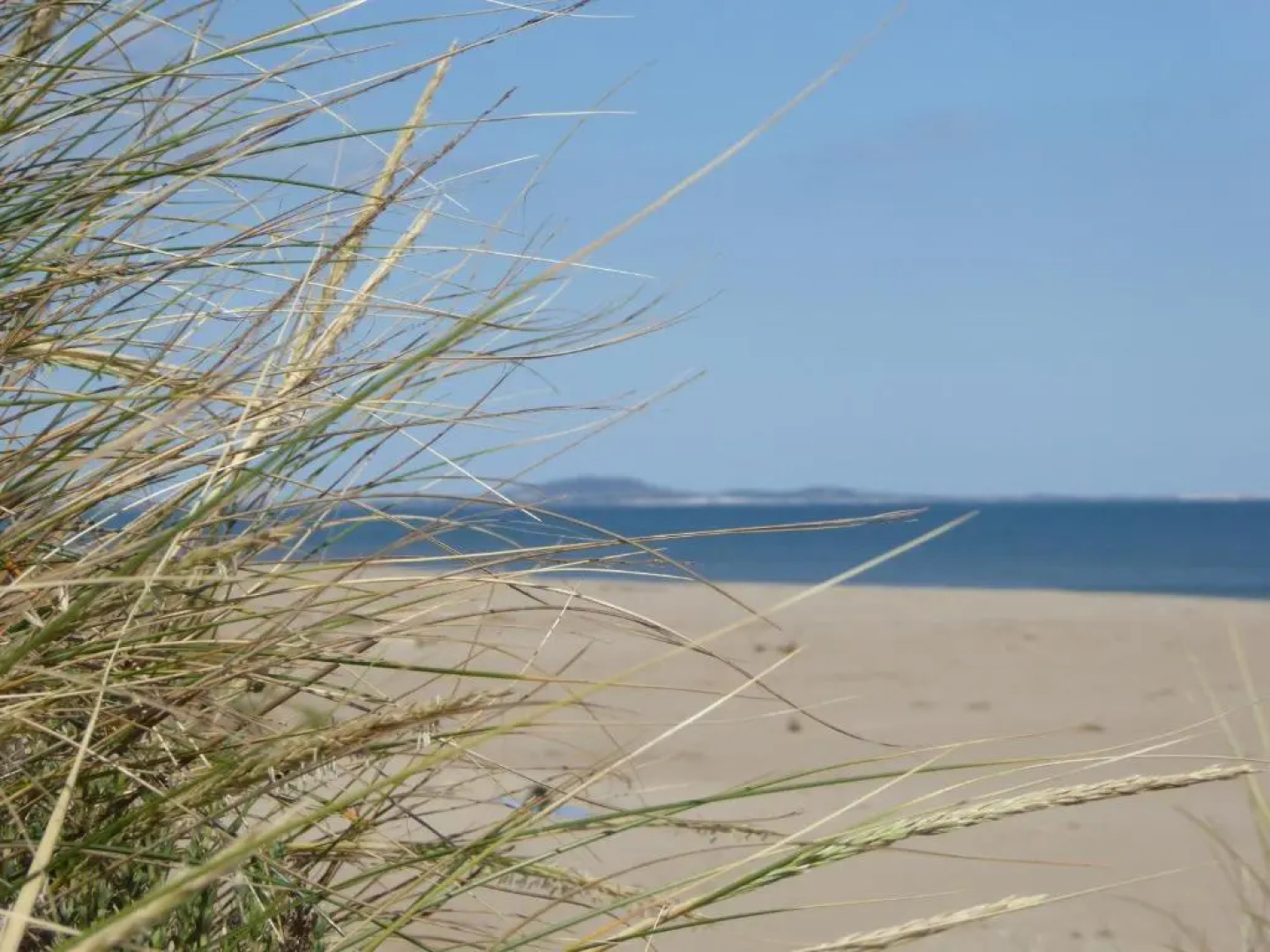 T2 à Sérignan Hérault