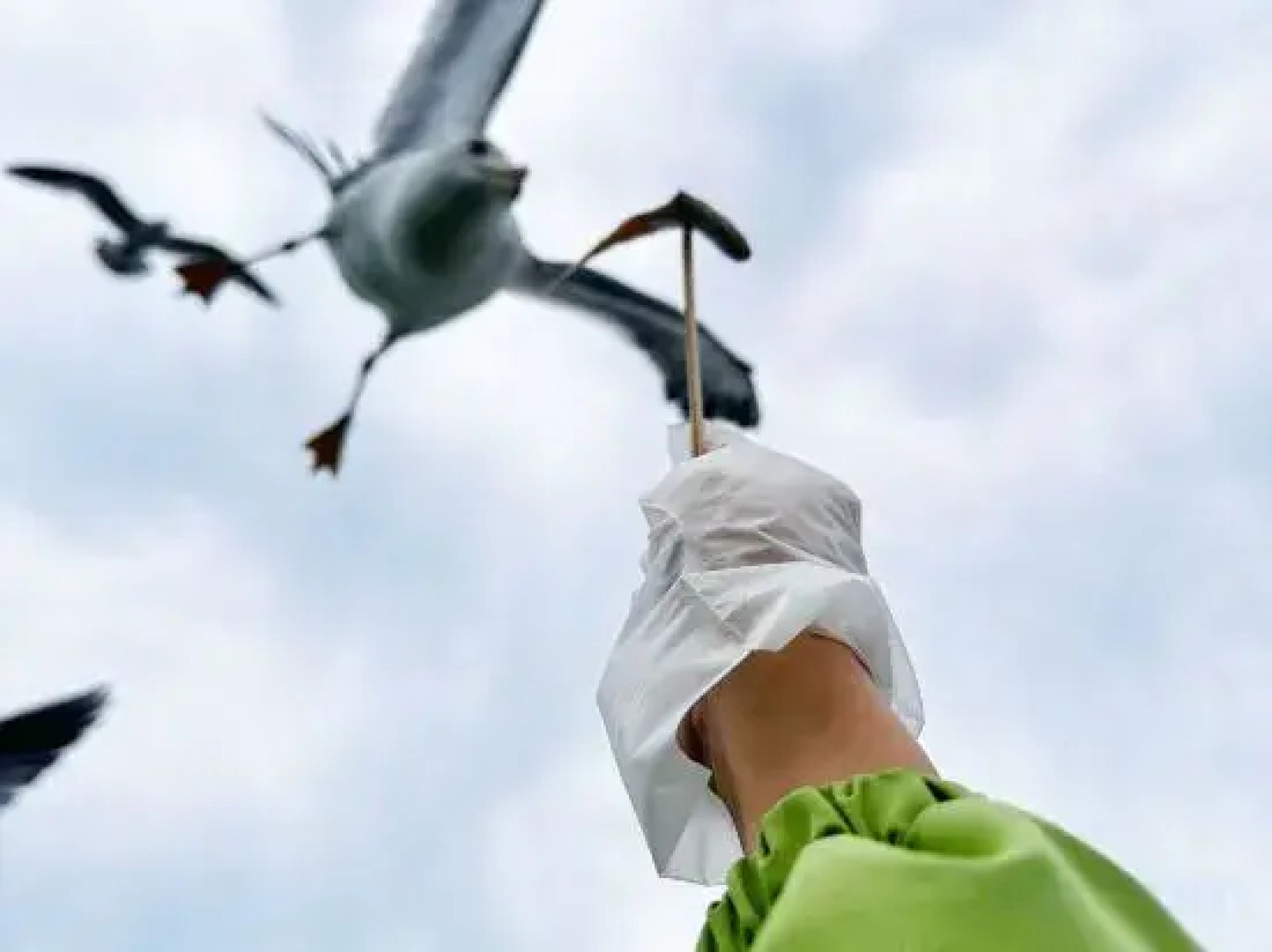 Ruize ouyusu Resort Manor